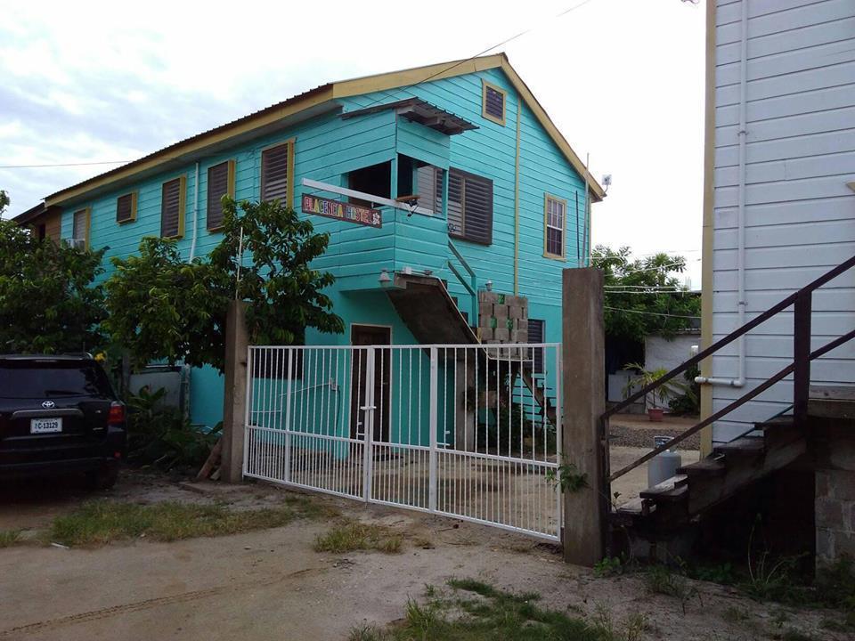 Placencia Hostel Экстерьер фото