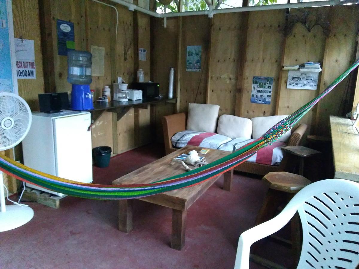 Placencia Hostel Экстерьер фото
